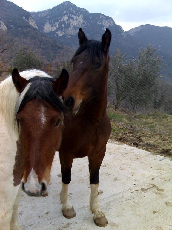 Valle Del Belvedere Spoleto Ngoại thất bức ảnh